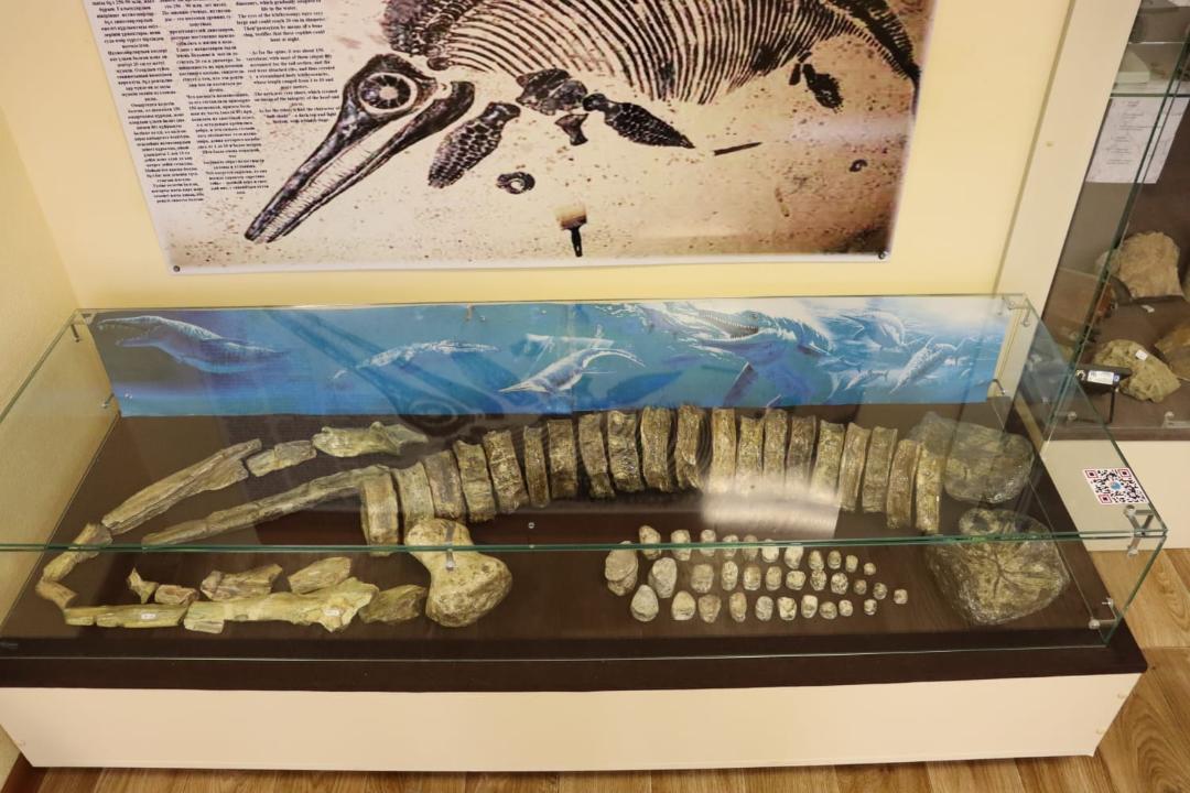 Kazakhstanosaurus: как ученые РК вносят вклад в мировую науку